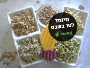 tubishvat