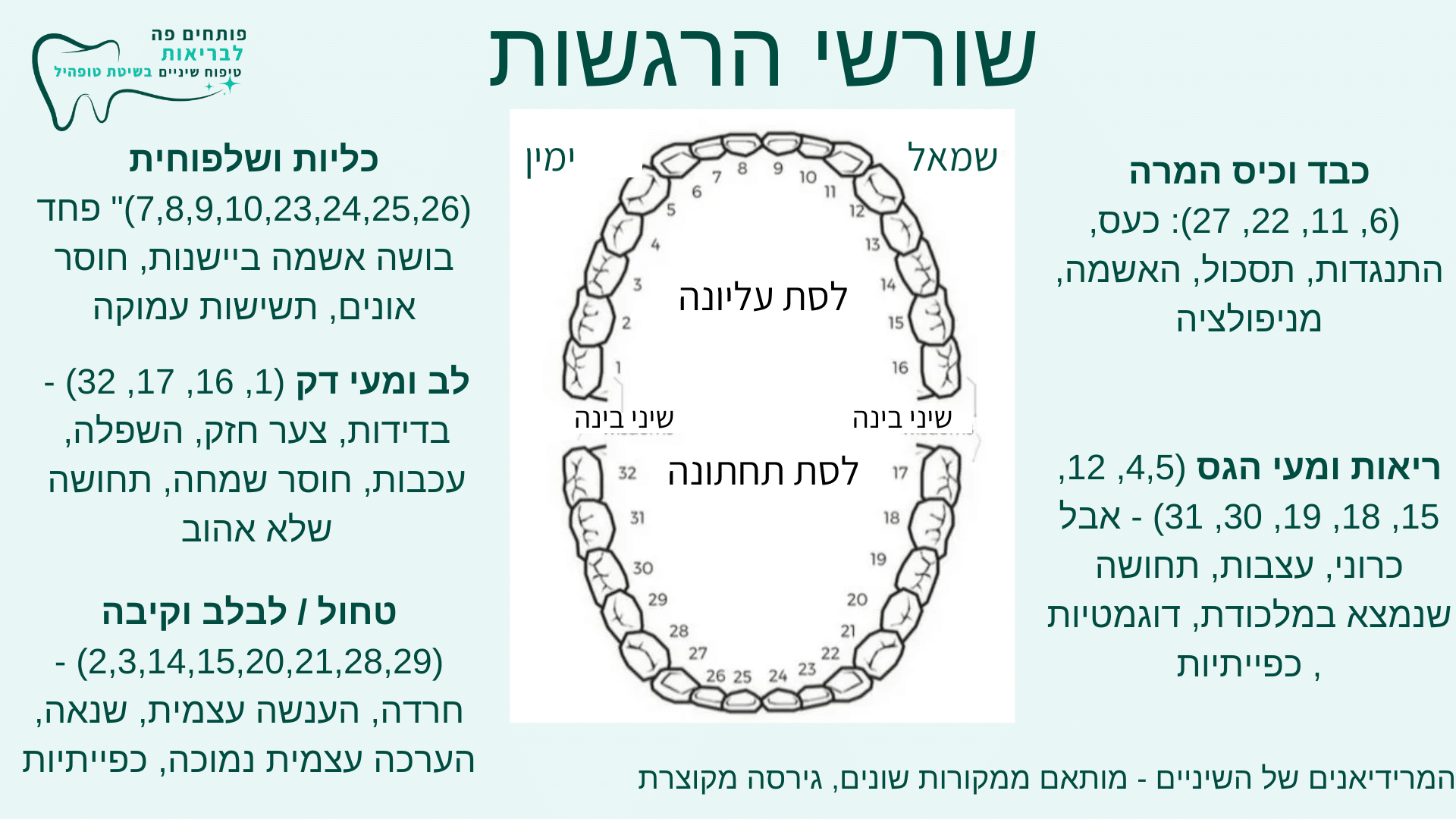 וובינר 28.8.23